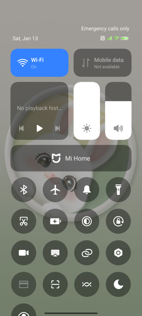 Probe rabbit screenshot