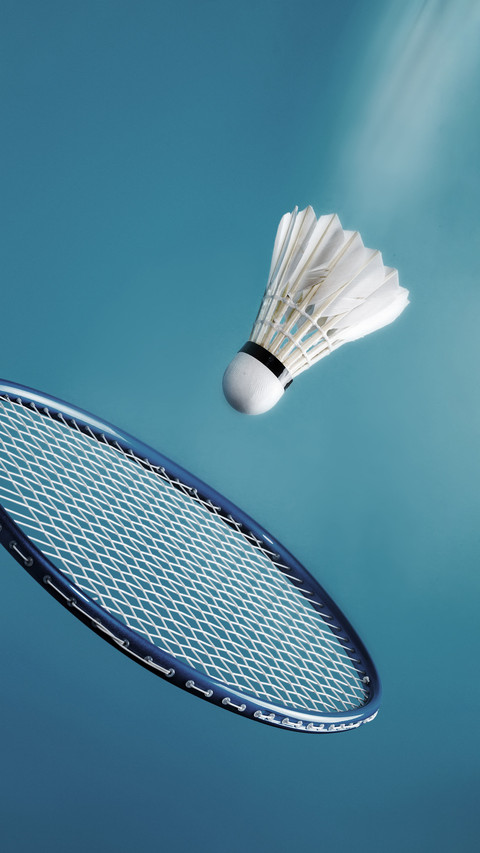 Unveiling the unique structure of badminton screenshot