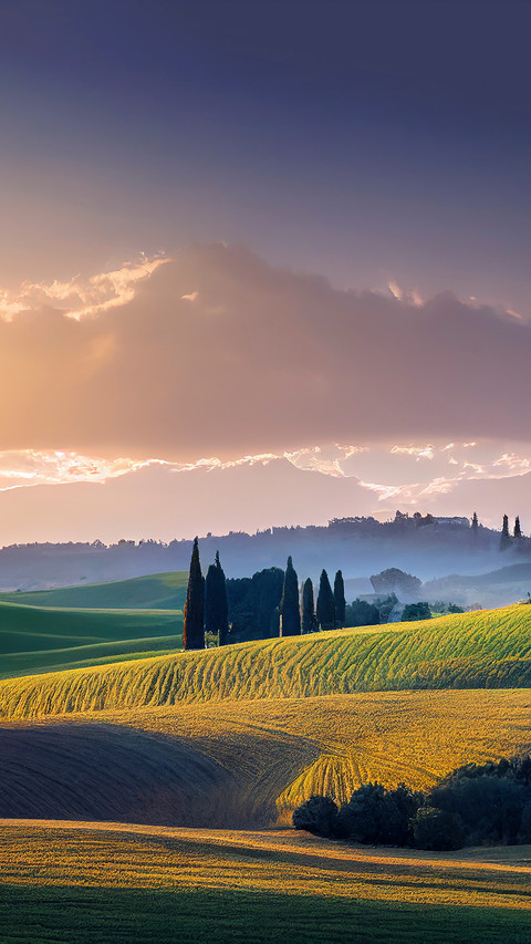 Tuscan rolling hills with cypresses and oak trees at sunset screenshot