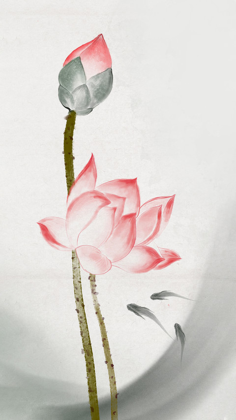 荷花全身都是宝 screenshot