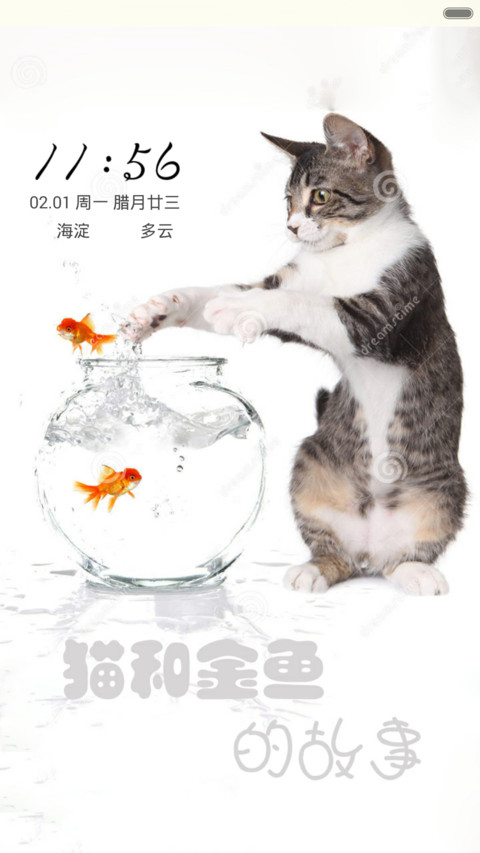 猫和金鱼 screenshot