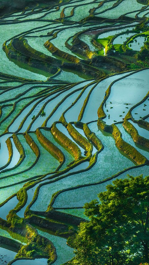Terraced Landscape of Earth Sculpture 5 screenshot
