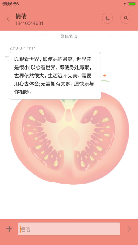 简约西红柿【美味佳肴】 screenshot