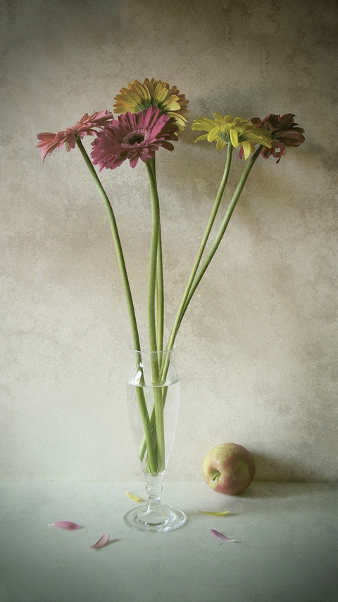 How to prolong the vitality of manual flower arrangement 3 screenshot