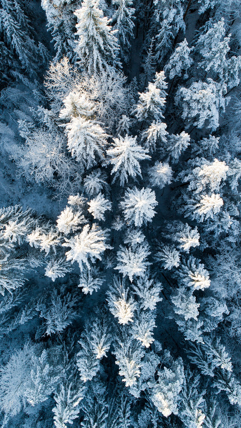 Winter Snowfield screenshot