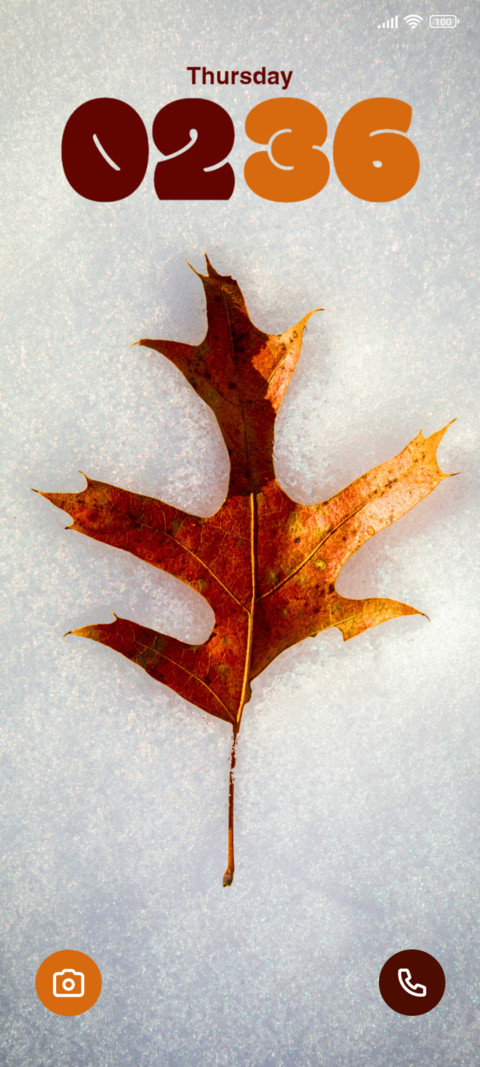 Leaf in Ice screenshot