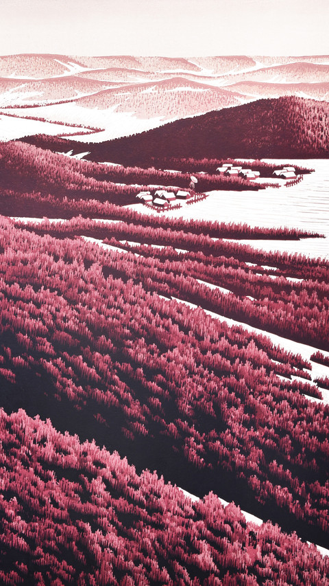 Zhang shiqin crosses the polar regions 2 screenshot