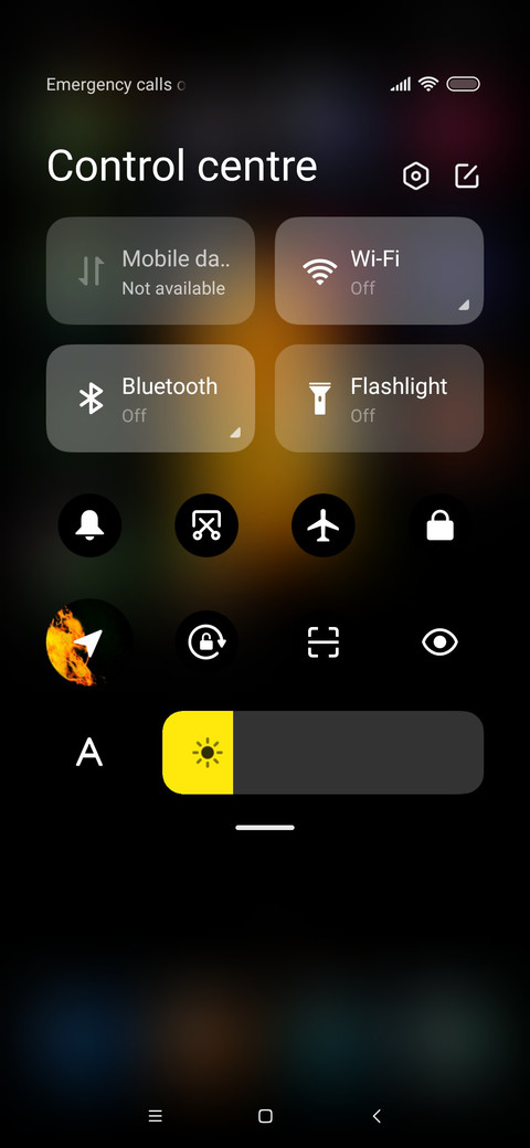 Lion King_DWM20 screenshot