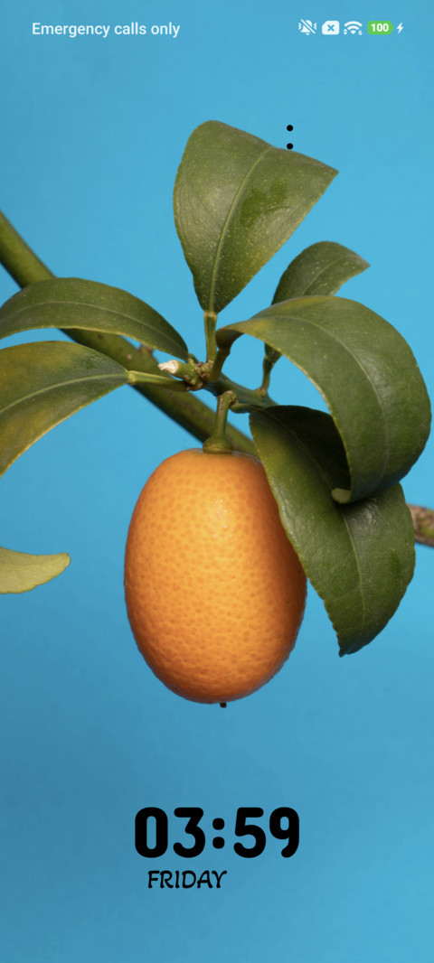 Citrus Glow screenshot
