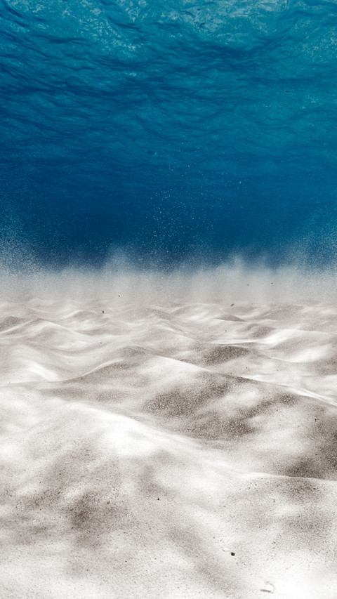Underwater beauty of the Canary Islands screenshot