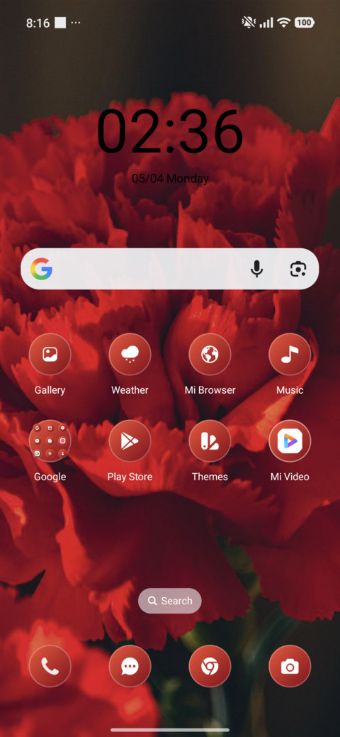 Carnations screenshot