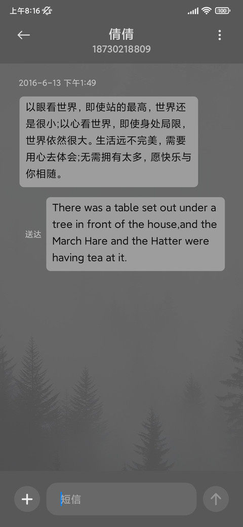 简约商务 黑森林 screenshot