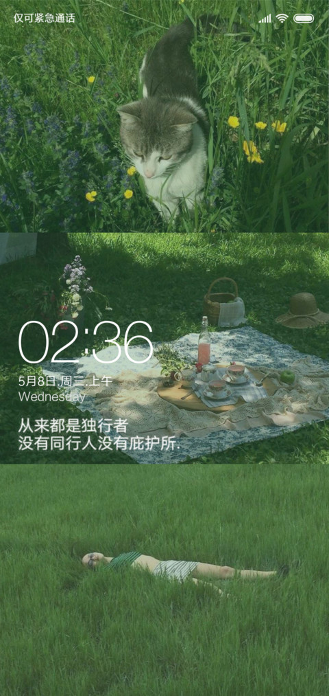 原谅绿 screenshot
