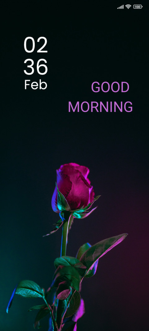 Red Rose screenshot