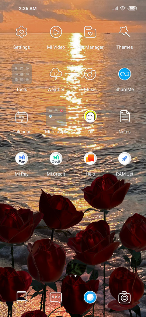 Missing the tide screenshot