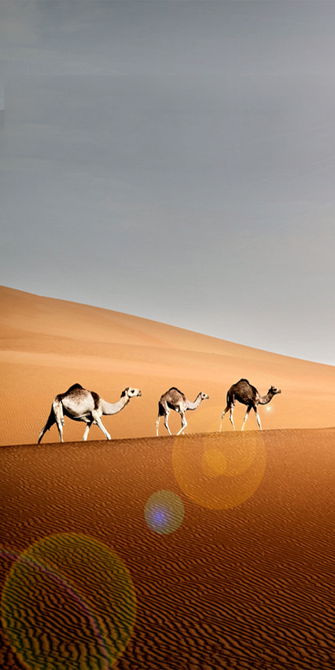 Desert screenshot