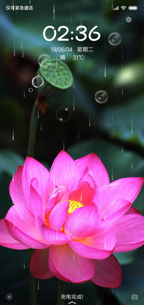 映日荷花别样红 screenshot