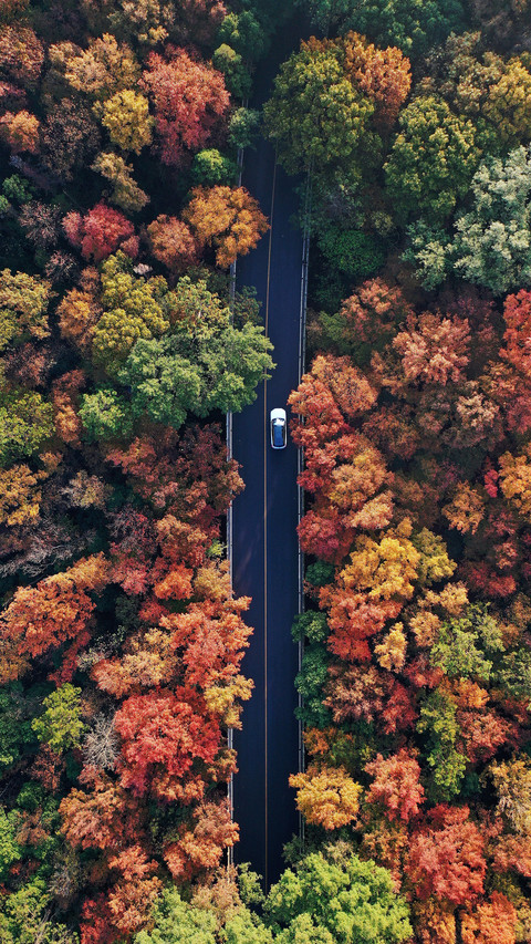 Overhead 45 screenshot