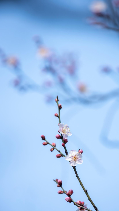 我们最美好的时光 screenshot