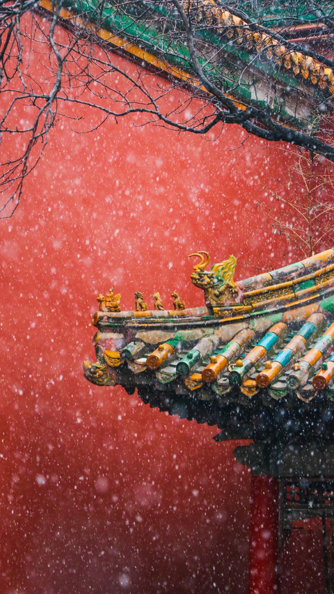来故宫邂逅最美雪景 screenshot