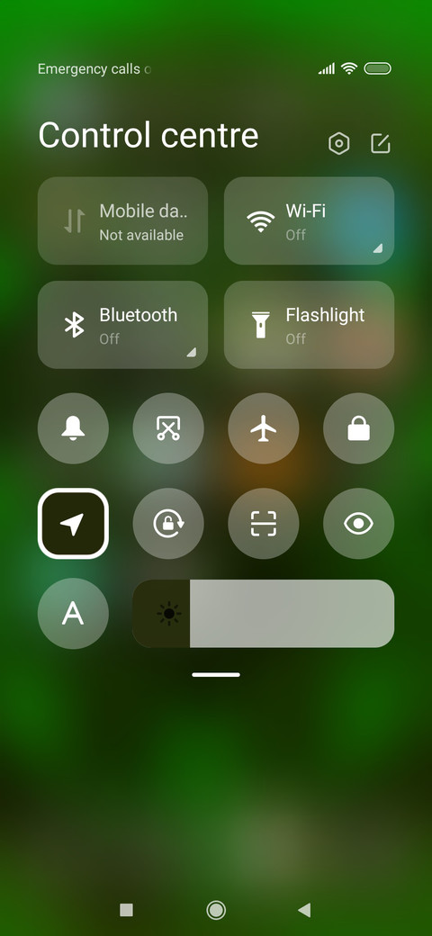 Lion Art_3MDS screenshot