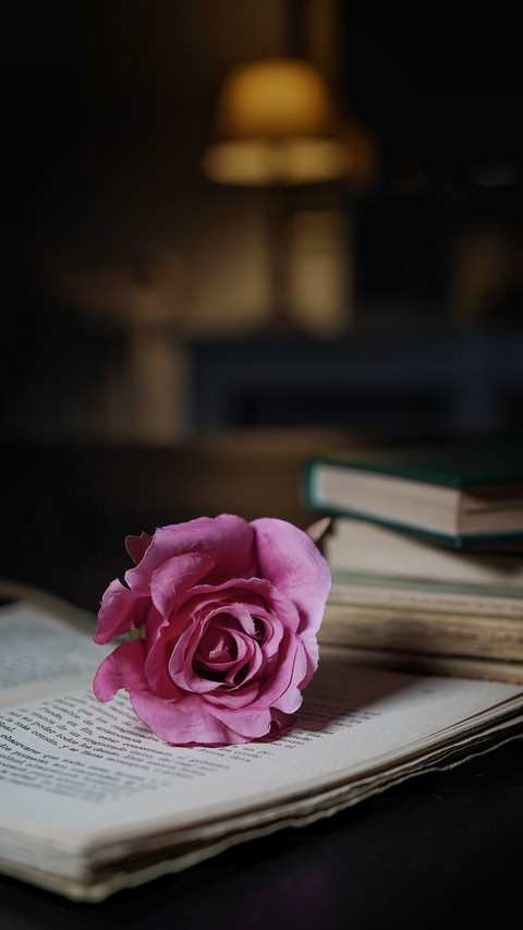 Group of old books and a rose on an open book screenshot