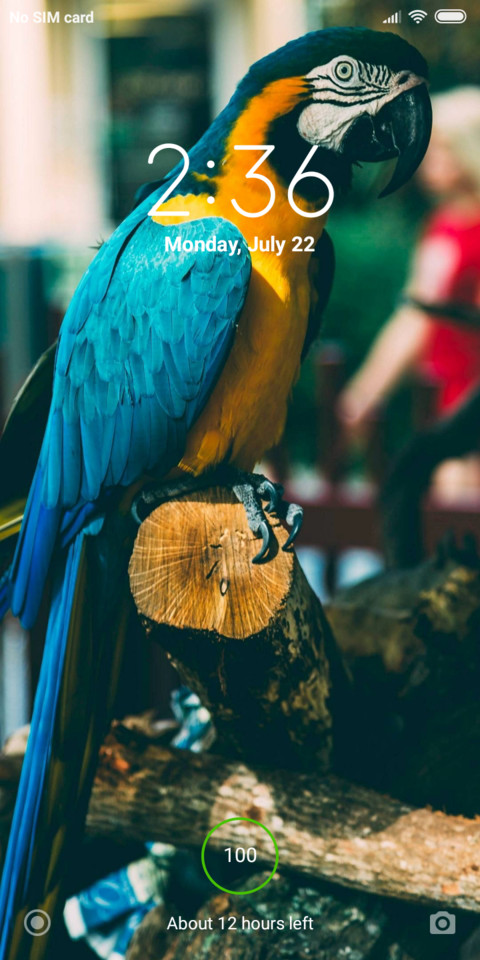 sample V10 screenshot