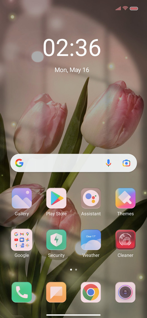 Pink tulip screenshot