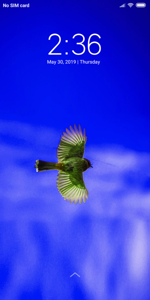 Fly high_DWM19 screenshot