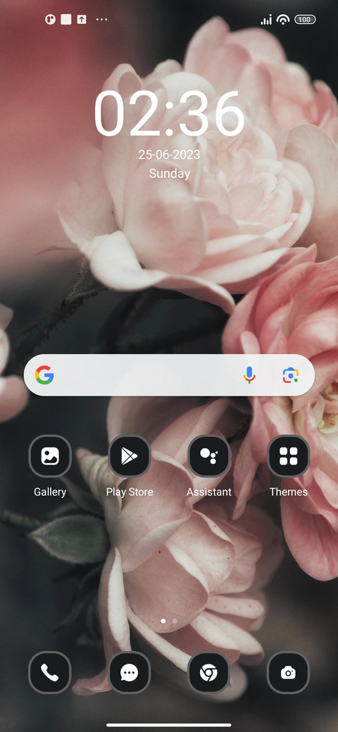 Rosebush screenshot