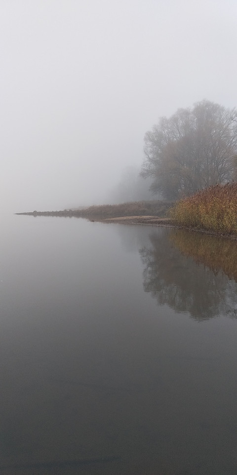 Morning river Odra screenshot