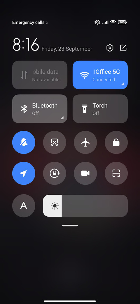 Xinxin+garten screenshot
