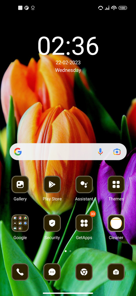 Tulips screenshot