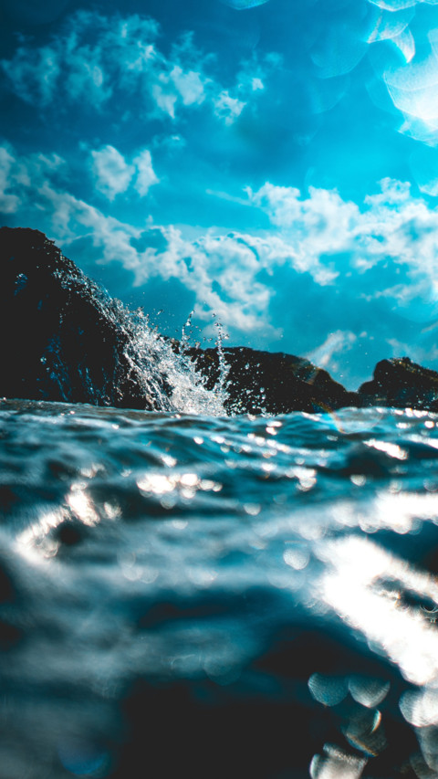 Oceans Day (4) screenshot
