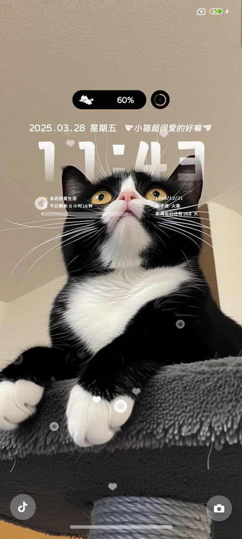 呆萌奶牛猫咪 screenshot