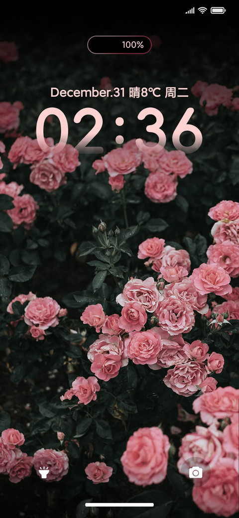 ins花 screenshot
