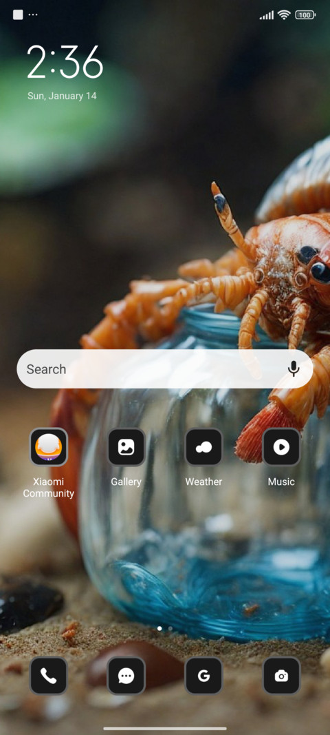 Crab screenshot