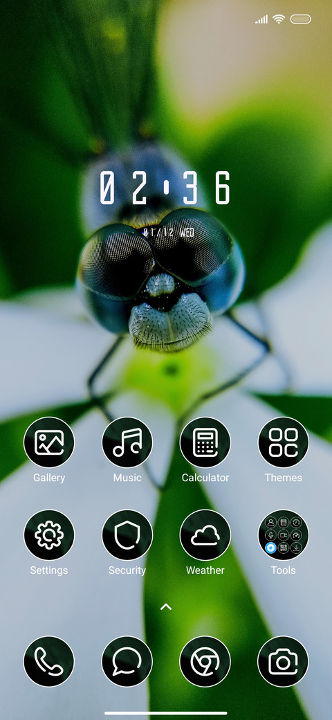Wild_2 screenshot