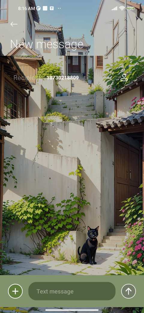 Sunshine Courtyard screenshot