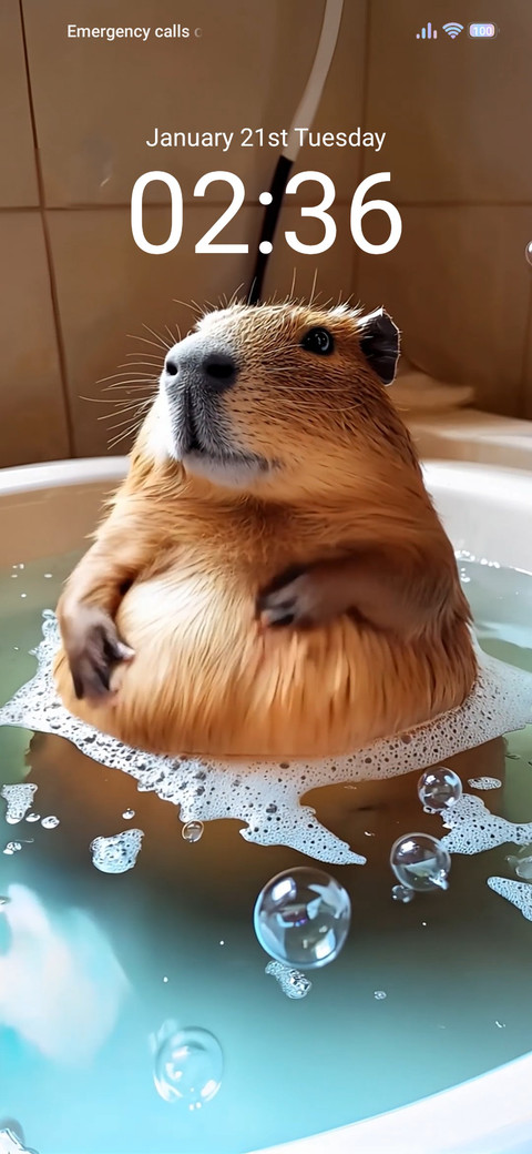 take a bath screenshot