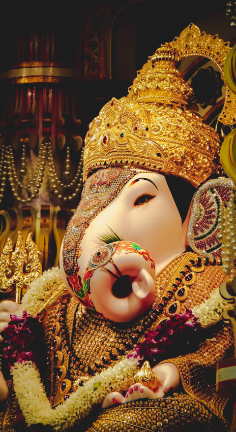 Vibe of India  (34) screenshot