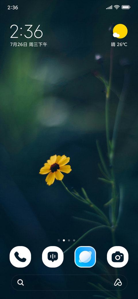 Sunlit Petals screenshot