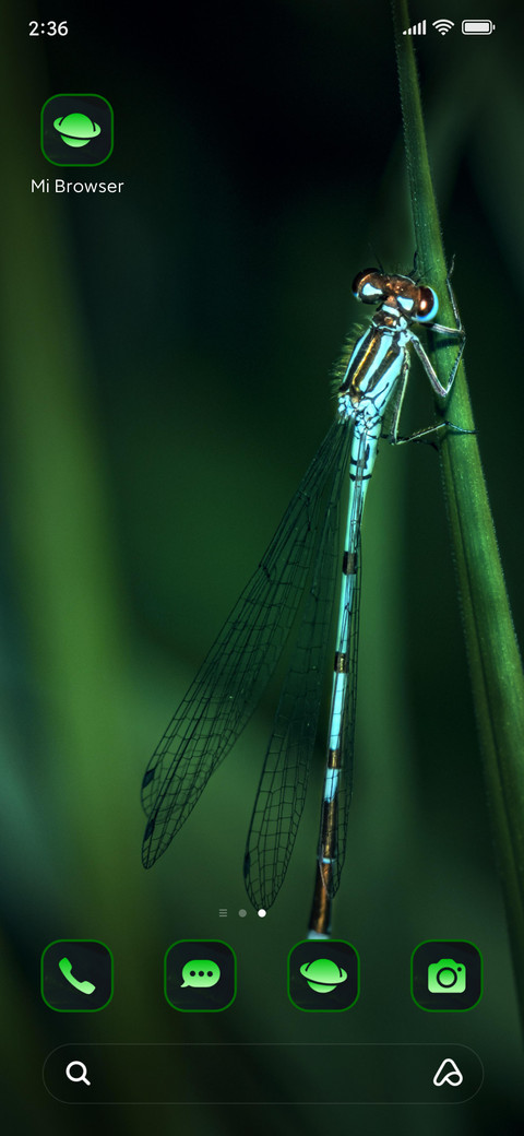 leaves insect screenshot