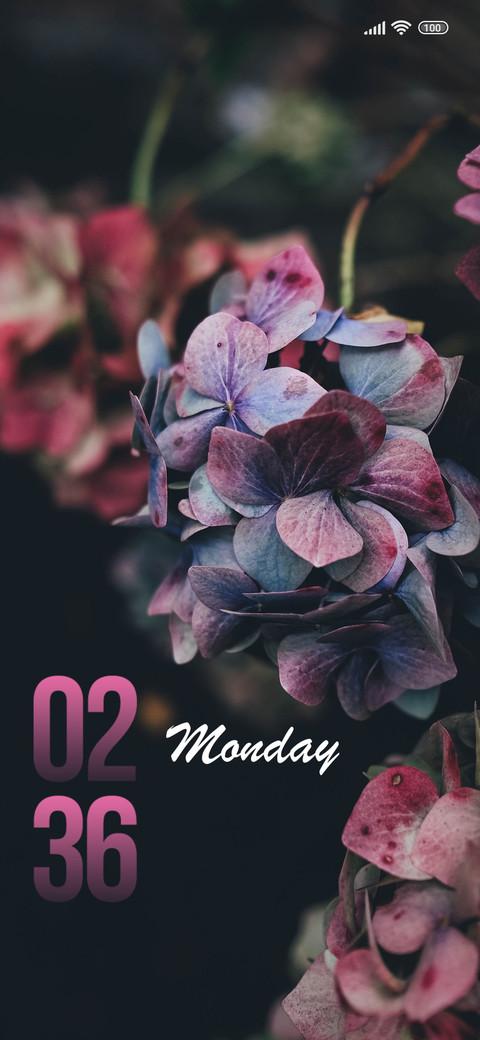 Flowers screenshot