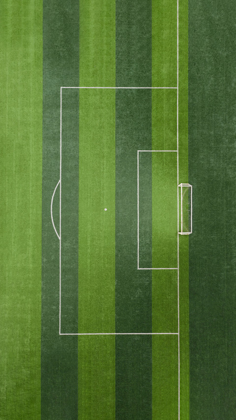 The restricted area of thesoccer field goal screenshot