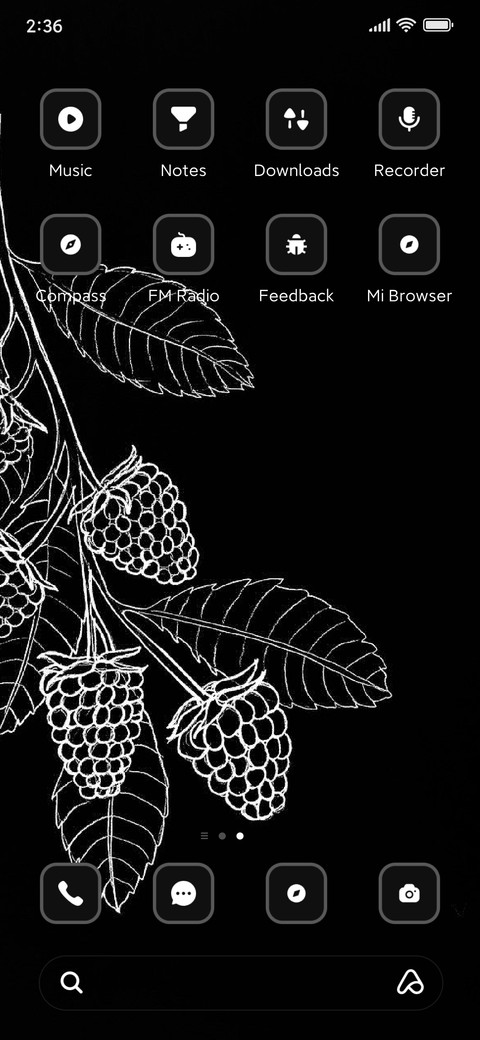 Raspberry screenshot