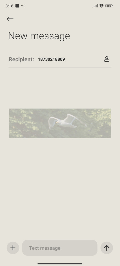 Summer letter screenshot