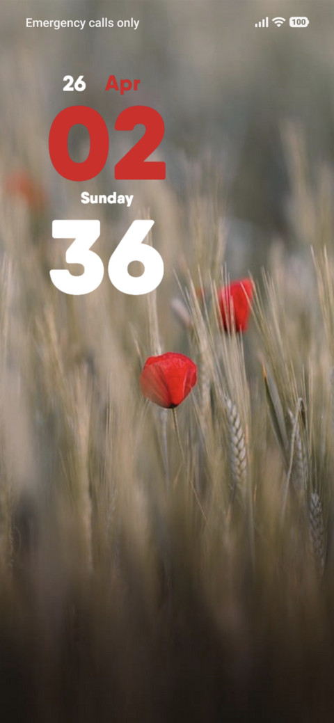 Wheat Field screenshot