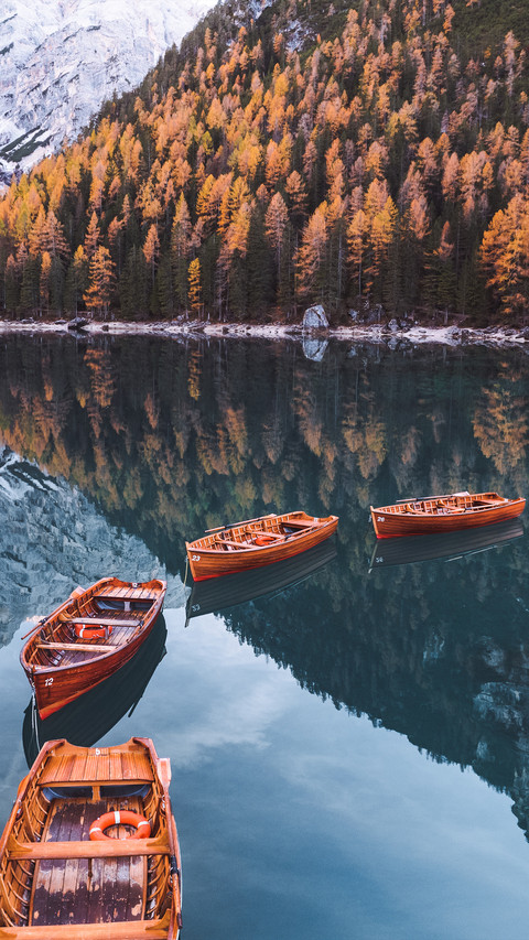 Lake in autumn screenshot