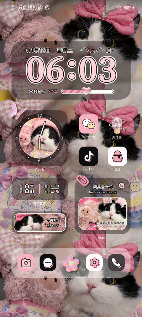 甜酷黑粉 小猫驾到 screenshot